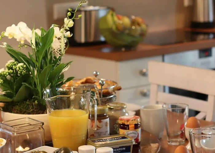 Achternkieker 奥斯特西巴德钦诺维茨